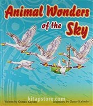 Animal Wonders of The Sky