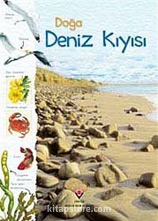 Doğa: Deniz Kıyısı