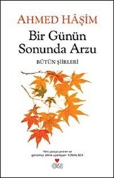 Bir Günün Sonunda Arzu