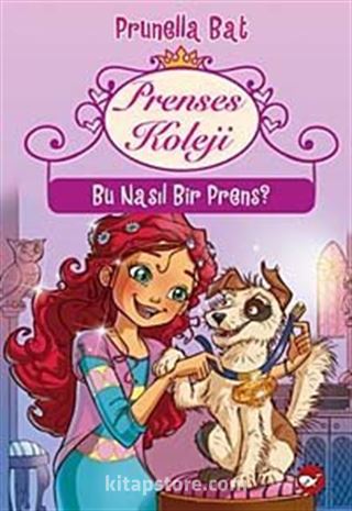 Prenses Koleji 2.Kitap / Bu Nasıl Bir Prens?