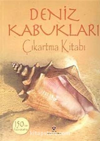 Deniz Kabukları / Çıkartma Kitabı