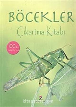 Böcekler / Çıkartma Kitabı