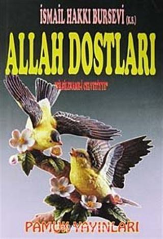 Celvetiyye Yolunda Allah Dostları (Silsilename-i Celvetiyye)