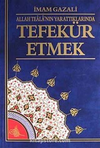 Tefekkür Etmek Allah Teala'nın Yarattıklarnda