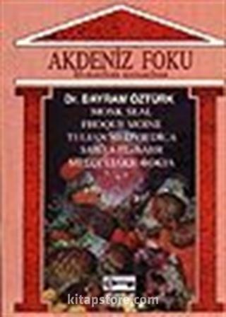 Akdeniz Foku