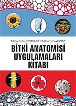 Bitki Anatomisi ve Uygulamaları Kitabı