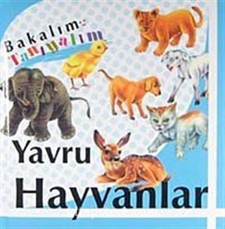 Yavru Hayvanlar / Bakalım Tanıyalım