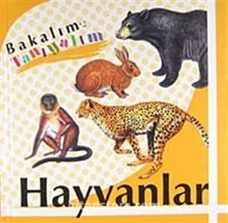 Hayvanlar / Bakalım Tanıyalım