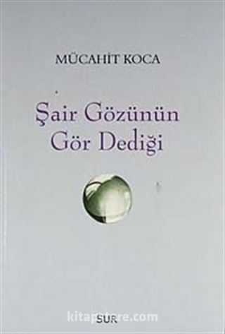 Şair Gözünün Gör Dediği