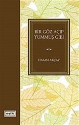 Bir Göz Açıp Yummuş Gibi