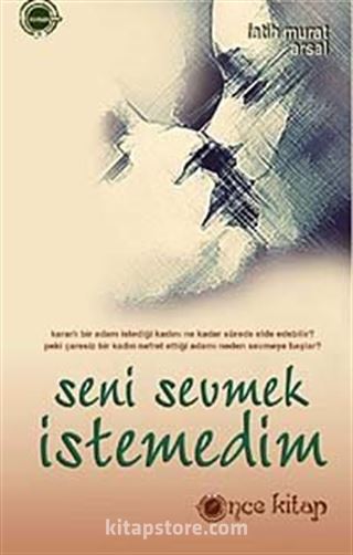 Seni Sevmek İstemedim