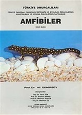 Türkiye Omurgalıları / Amfibiler