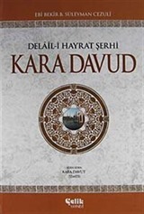 Kara Davud