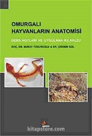 Omurgalı Hayvanların Anatomisi