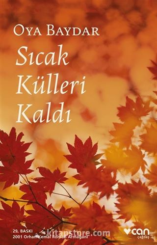 Sıcak Külleri Kaldı (Ciltsiz)