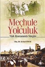 Meçhule Yolculuk