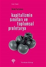 Kapitalizmin Sınırları ve Toplumsal Proletarya