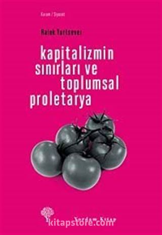 Kapitalizmin Sınırları ve Toplumsal Proletarya