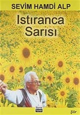 Istıranca Sarısı