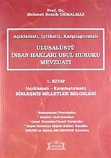 Açıklamalı İçtihatlı Karşılaştırmalı Ulusalüstü İnsan Hakları Usul Hukuku Mevzuatı 1. Kitap