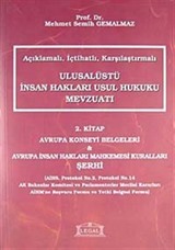 Açıklamalı İçtihatlı Karşılaştırmalı Ulusalüstü İnsan Hakları Usul Hukuku Mevzuatı 2. Kitap