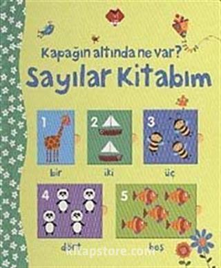 Sayılar Kitabım / Kapağın Altında Ne Var?