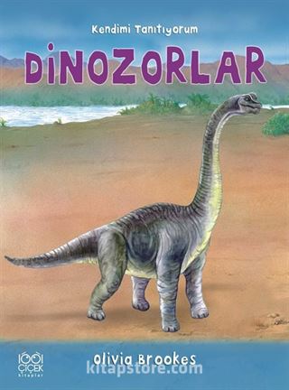 Dinozorlara Soralım