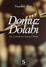 Domuz Dolabı