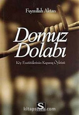 Domuz Dolabı