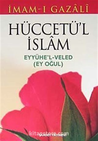 Hüccetü'l İslam