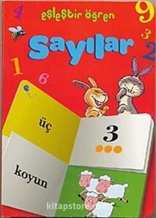 Sayılar / Eşleştir Öğren