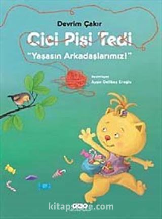 Cici Pisi Tedi