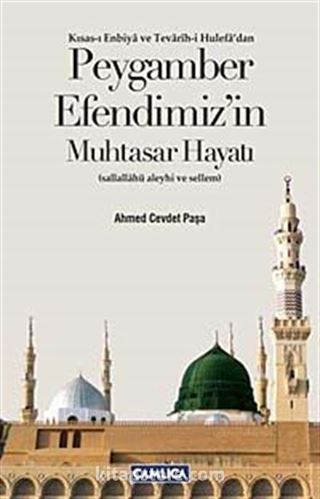 Peygamber Efendimiz'in Muhtasar Hayatı