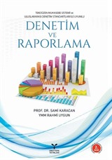 Denetim ve Raporlama