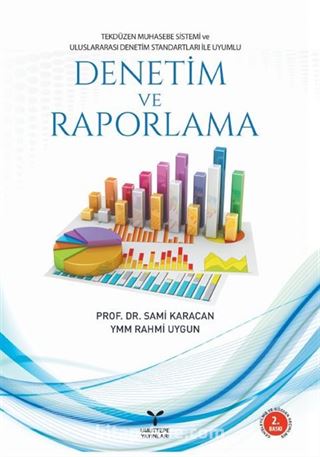 Denetim ve Raporlama