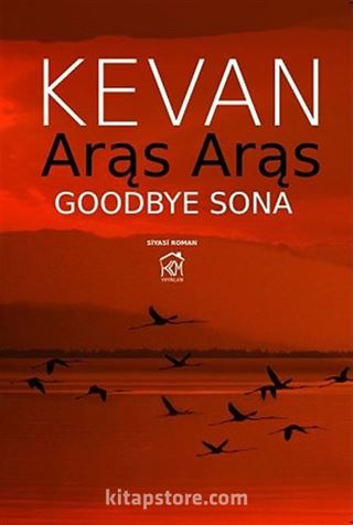 Aras Aras Goodbye Sona