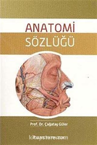 Anatomi Sözlüğü