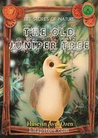 The Old Juniper Tree