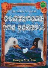 Black Head the Seagull