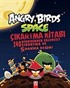 Angry Birds Space Çıkartma Kitabı