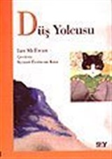 Düş Yolcusu