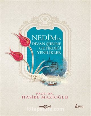 Nedim'in Divan Şiirine Getirdiği Yenilikler