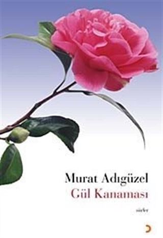 Gül Kanaması