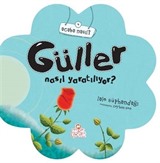 Güller Nasıl Yaratılıyor?