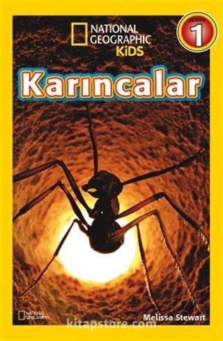 National Geographic Kids -Karıncalar