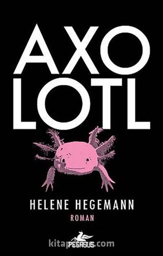 Axolotl