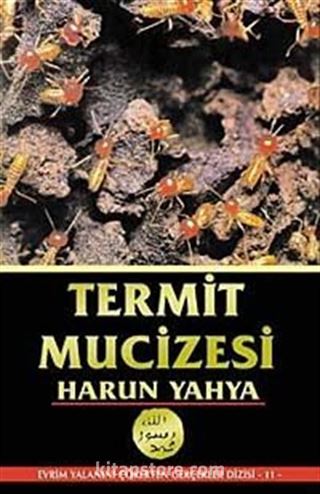 Termit Mucizesi