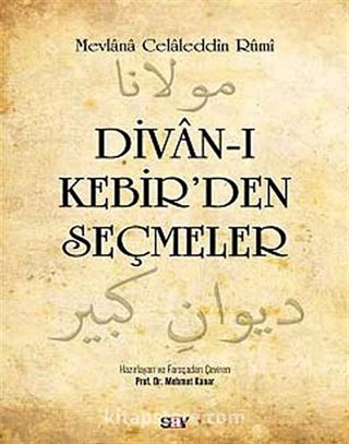 Divan-ı Kebir'den Seçmeler