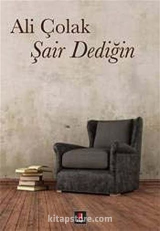 Şair Dediğin