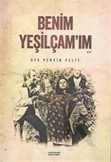 Benim Yeşilçam'ım